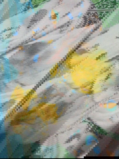 ลูกกินนมผง