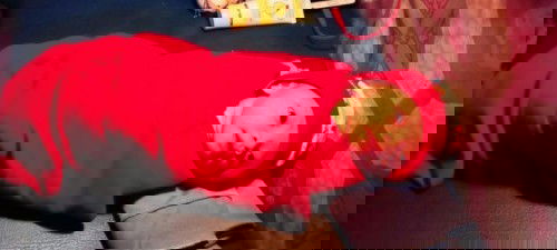 Perjuangan melahirkan secara normal #ibujuara