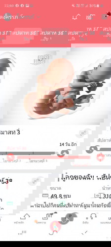 ตอนนี้38สัปดาละคะ