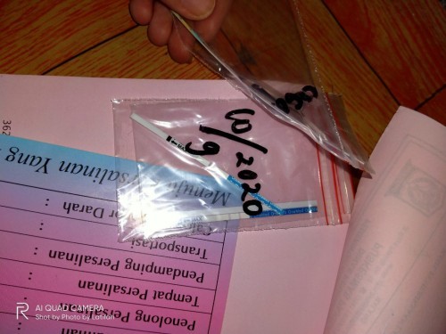 perjuangan melalui proses kehamilan#ibujuara