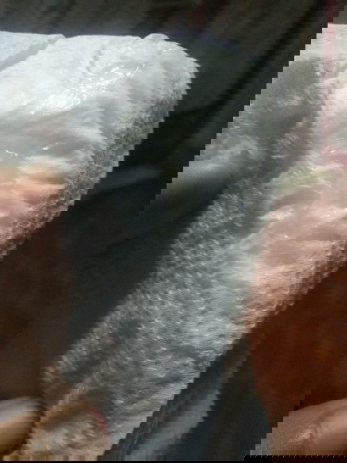 แบบนี้เรียกมูกมั้ยคะ #ช่วยตอบทีค่ะ