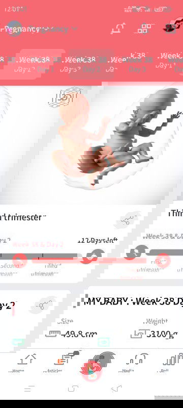 38weeks and 2 days ... No signs of labor