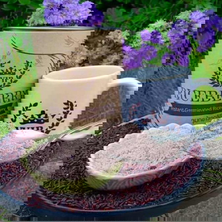 จมูกข้าวกล่องงอกไรซ์เบอร์รี่