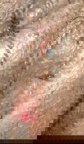 แม่ๆๆคนไหนมีวิธีดูแลยังไงบอกหน่อยคะ