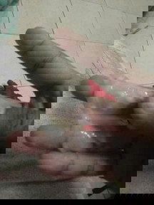 สอบถามแม่ๆคะ 40 week 1 day