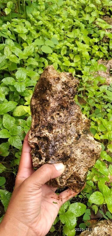 BATU di masa kecilku