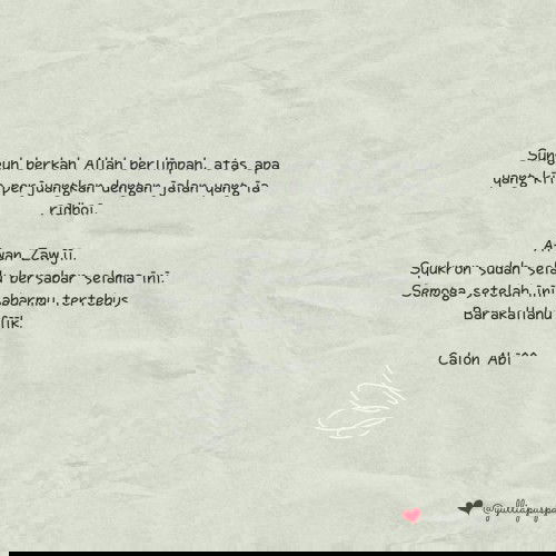 bukan BELI KUCING DALAM KARUNG