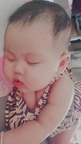 🐷🐷🐷🐷🐷🐷