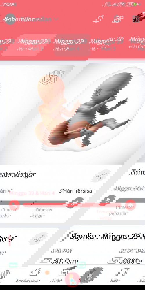 Menanti gelombang cinta