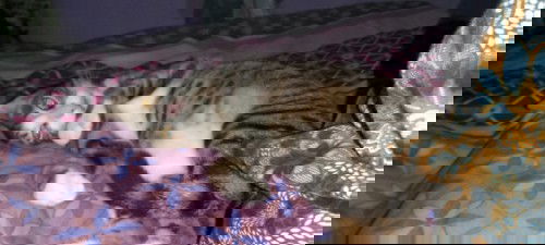 Terjatuh saat hamil 37 week