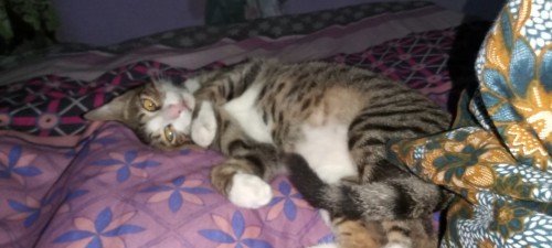 Terjatuh saat hamil 37 week