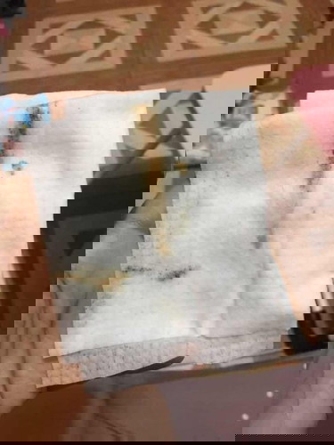 Brown discharge with parang mucus plug