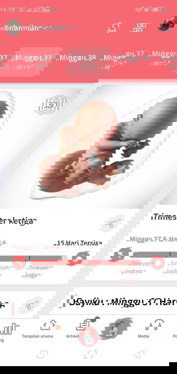 Bismillah semoga segera lounching