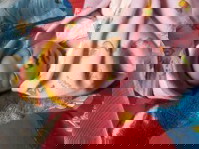 Alhamdulillah uda launching