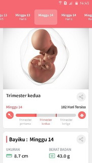 14minggu belum usg