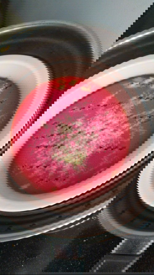 Menu snack Mpasi 7m+ anti GTM