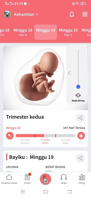 Usg pertama
