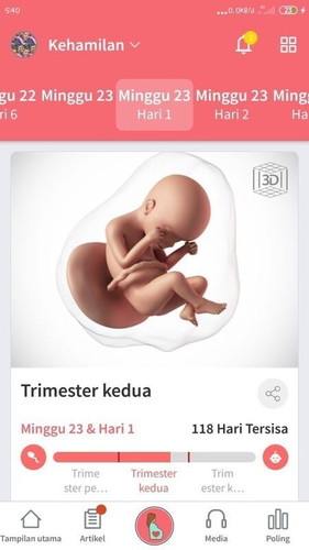 Bertanya & Mohon jawabannya