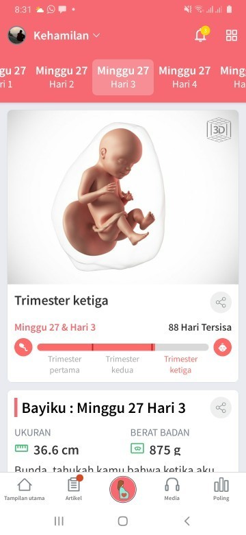 Hamil minggu27 3hari  bb 41