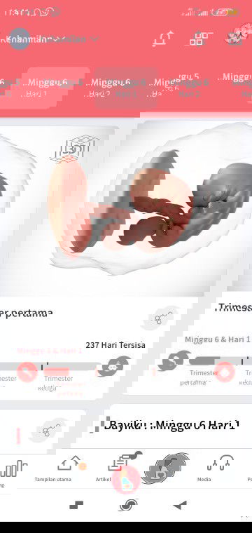 Apa yang bunda rasakan di kehamilan 6 minggu ?