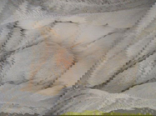 Popoknya ada merah-merah