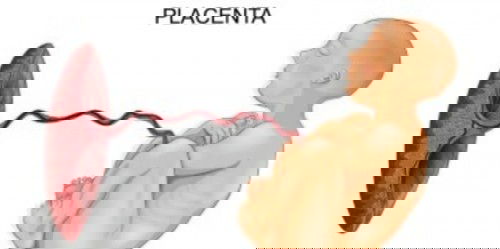 Galau gara2 Retensio plasenta