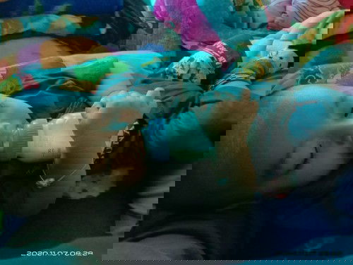 Perjuangan mengAsihi dengan  ikhtiar herba Asimor #Ibujuara