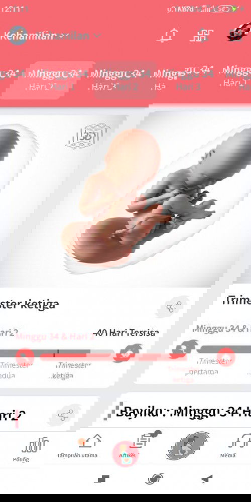 Yang hpl Januari/Februari