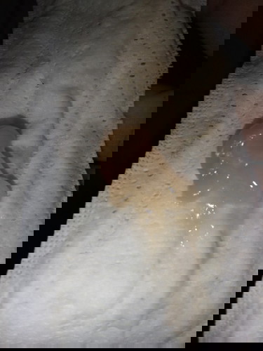 Mucus plug