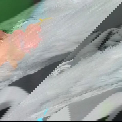 Dilema ibu baru karena keluarga - Perjuangan tak mudah demi menjadi #ibujuara