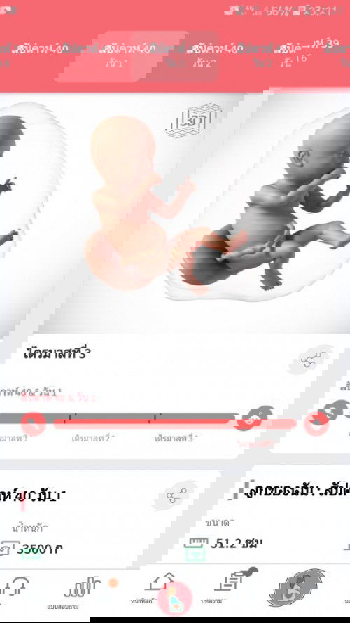 40สัปดาห์1วัน