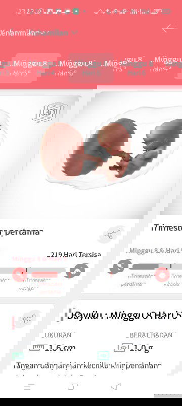 Gimana kalo ibu hamil sering mengkonsumsi makanan pedas, apakah aman...Teman