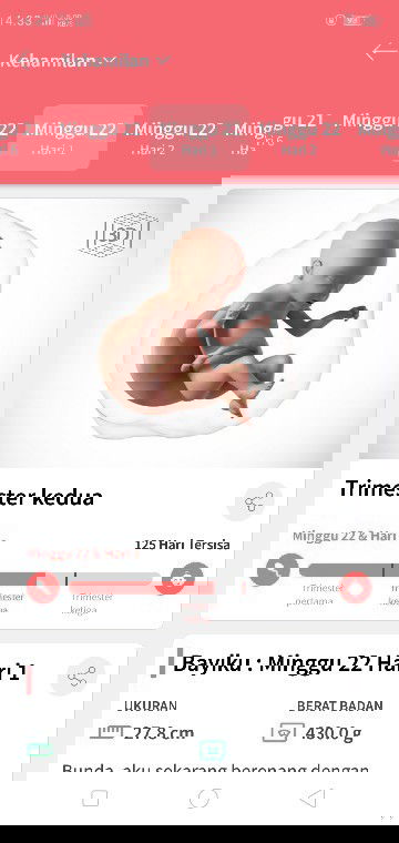Hamil 22 minggu belum merasakan gerakan debay