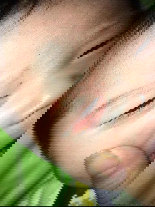 Sức thuốc bảy mày có sao không ạ