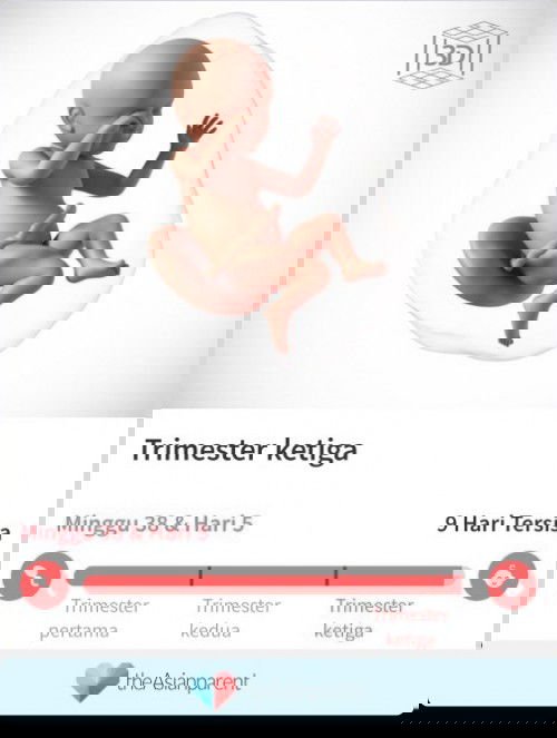 Alhamdulillah..  PARTUS di 38w5d..  Dgn proses 1x24 jam (Lahir Normal) 21 Desember 2020
