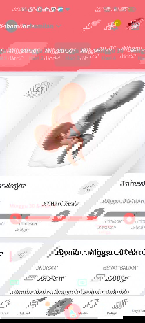 Yang hpl nya Februari/Maret 2021??