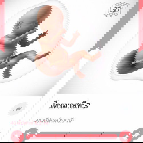 น้องไม่ยอมคลอดเลยค่ะ