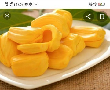 Bun, mau tanya boleh ga yah makan nangka ?