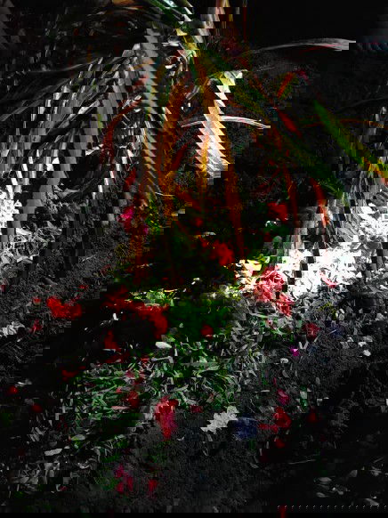 Innalillahi wainnailaihirojiun