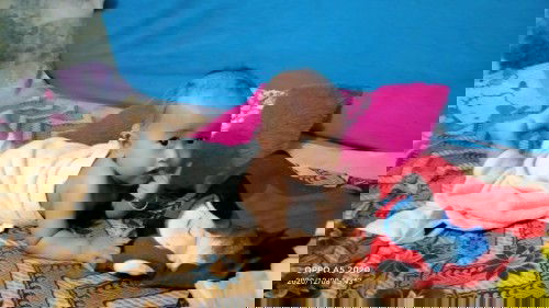 Kenapa anak saya belom bisa duduk mandiri? Apa yang harus aku lakukan😢