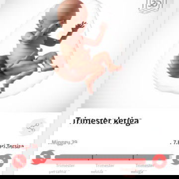 bismillahirrahmanirrahim😇😇