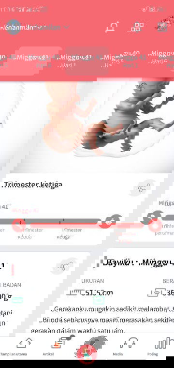 Hamil 41 week si dedek masih anteng dalam perut