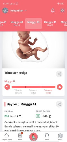 Hamil 41 week si dedek masih anteng dalam perut