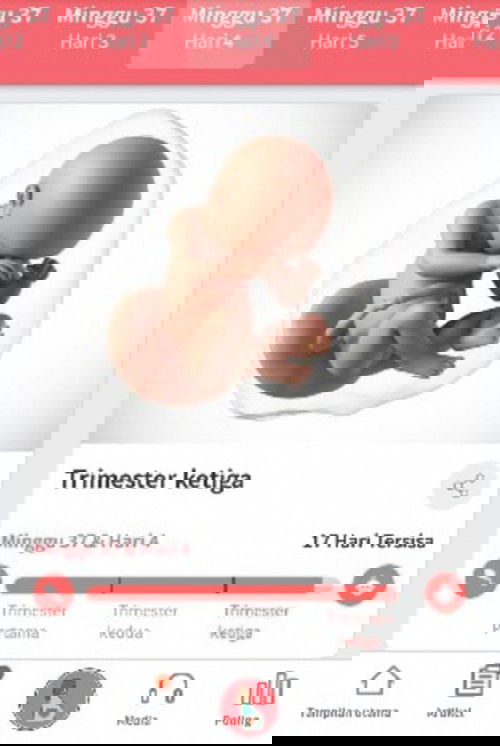 Menantikan si buah hati