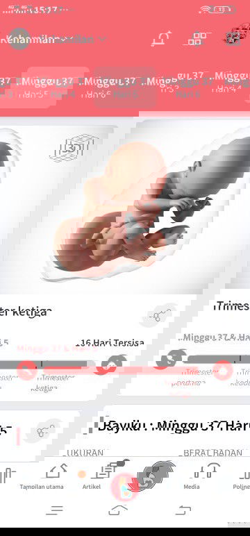 Hpl 10 januari kata dokter skrng udh 37,,tpi blm merasakan sakit*ataupun kontrkasi palsu... Malah d
