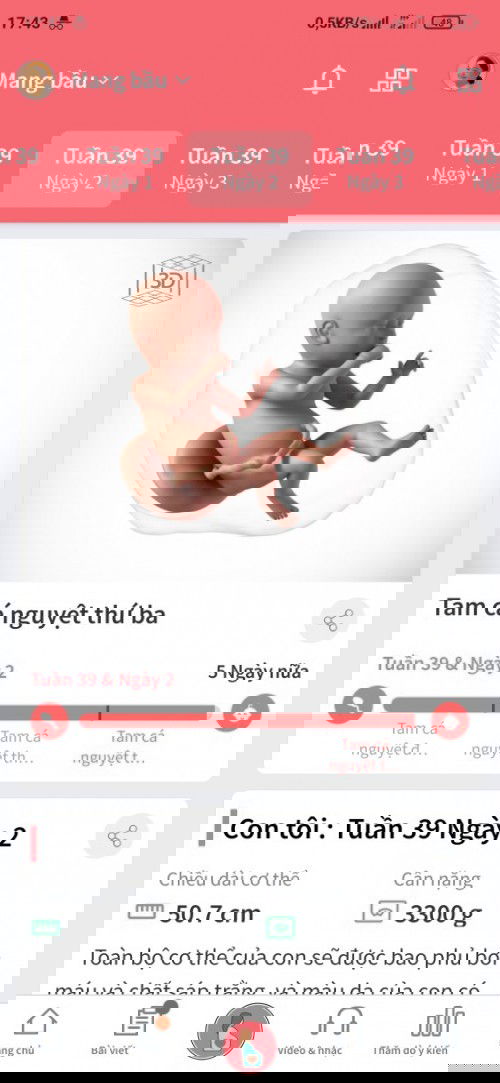 Chờ em ra chơi Giáng sinh