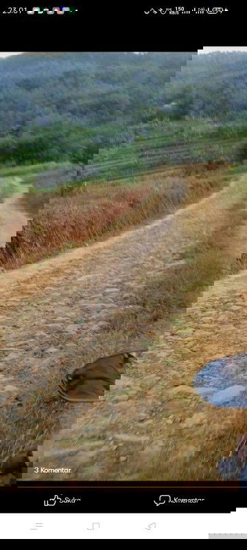 Toling dijawab bunda😣