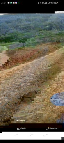 Toling dijawab bunda😣