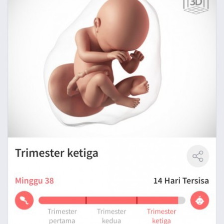Menuggu Gelombang Cinta