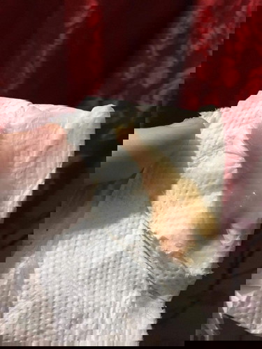 Mucus plug na ba ito?